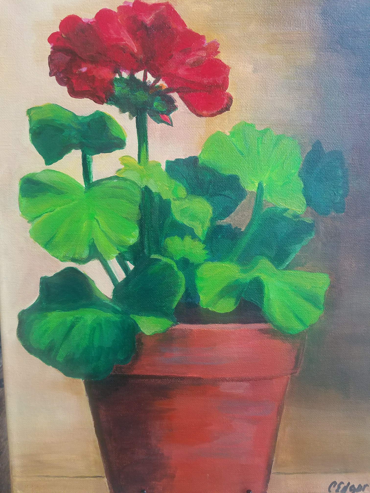 art class geranium