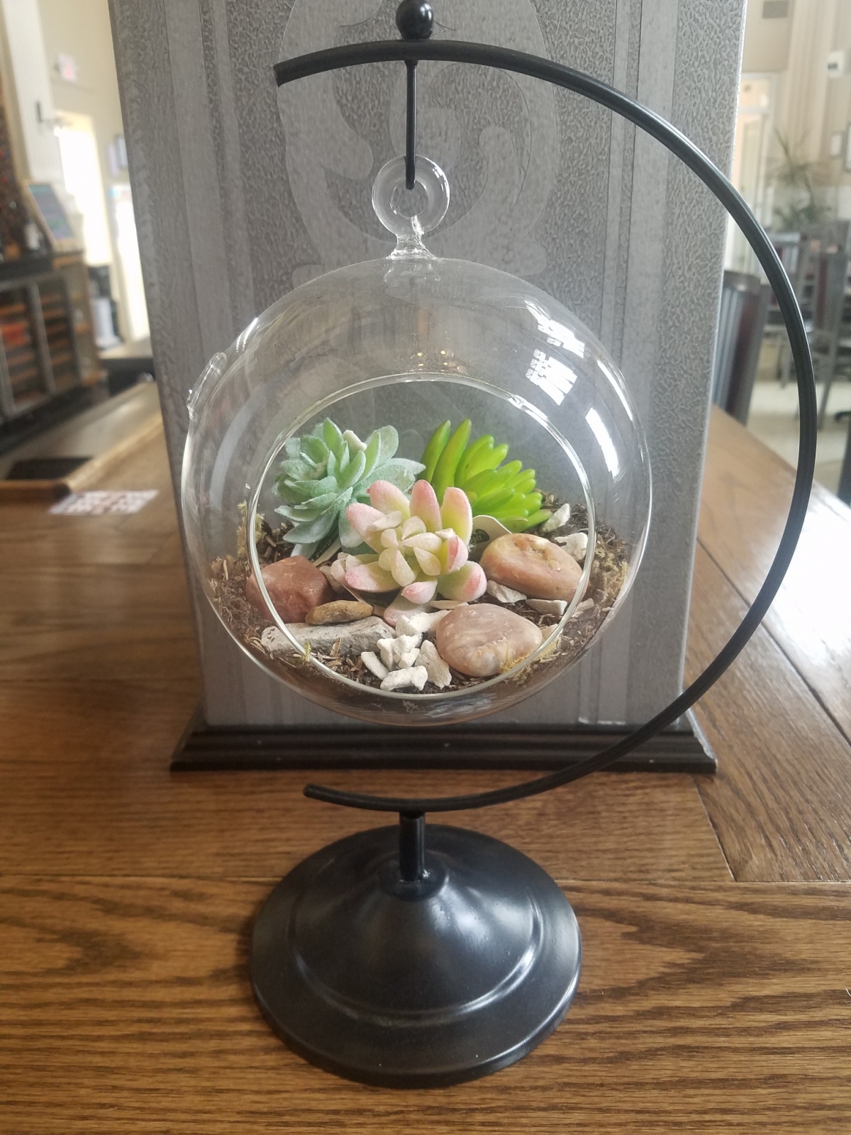 Terrarium Class The Vault Wine Bar